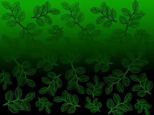 leaf design